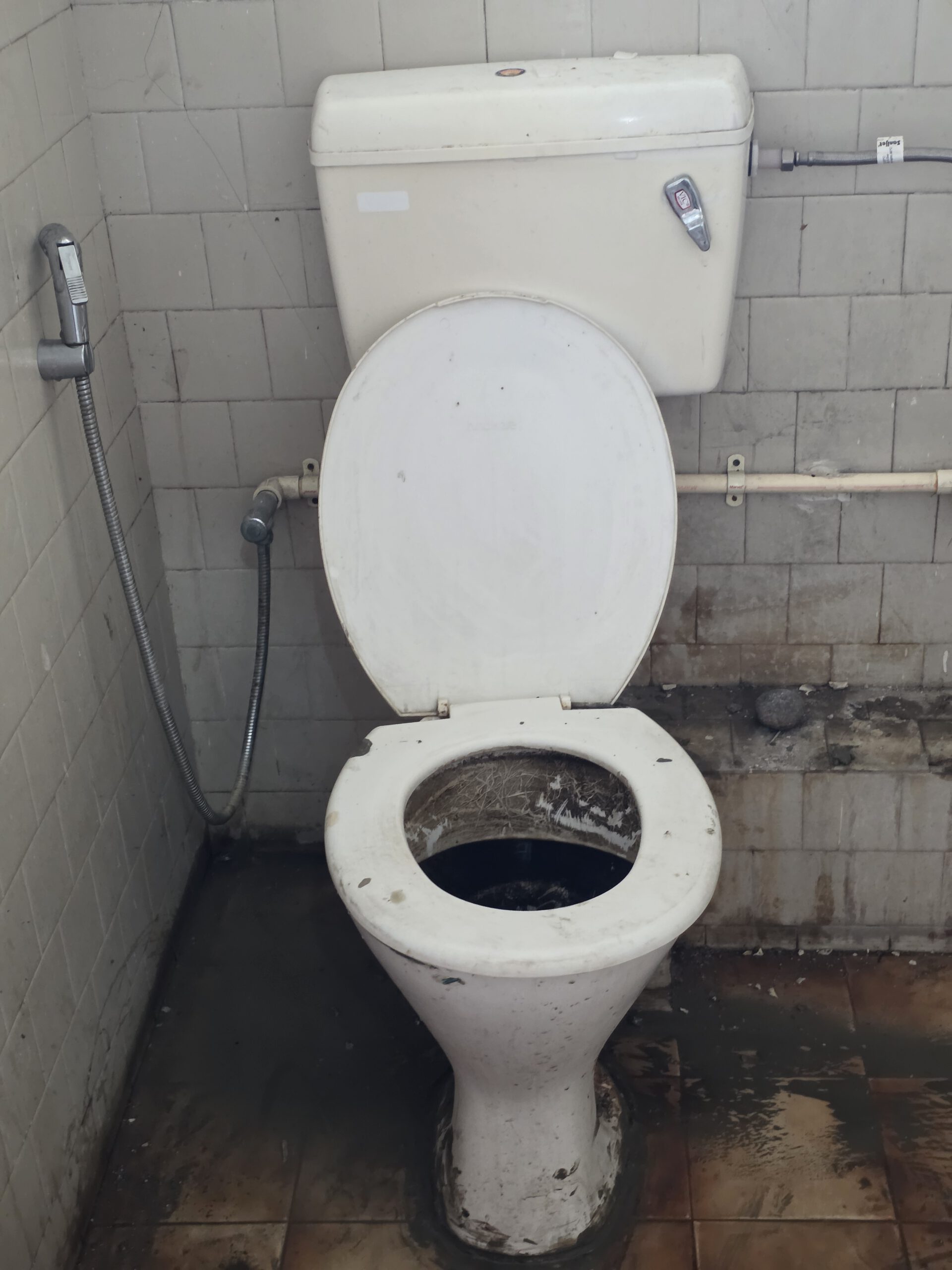 Toilet Jam Clearance 2